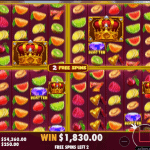 Juicy Fruits Multihold