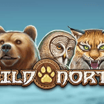 Slot Wild North
