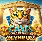 Cats of Olympuss